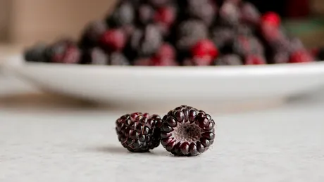 Budincă cu mure şi kefir: Reţetă fără zahăr şi fără gluten