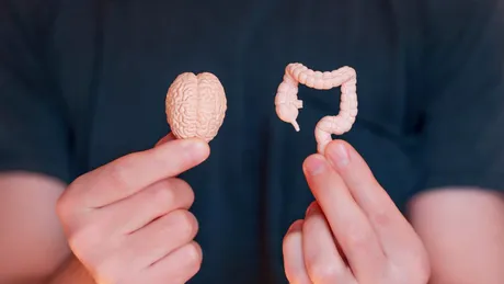 Cum flora intestinală îți influențează starea de spirit