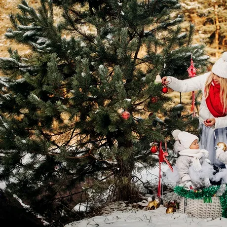 Tradiții și obiceiuri de Crăciun în Oltenia: Magia sărbătorilor păstrată din moși-strămoși