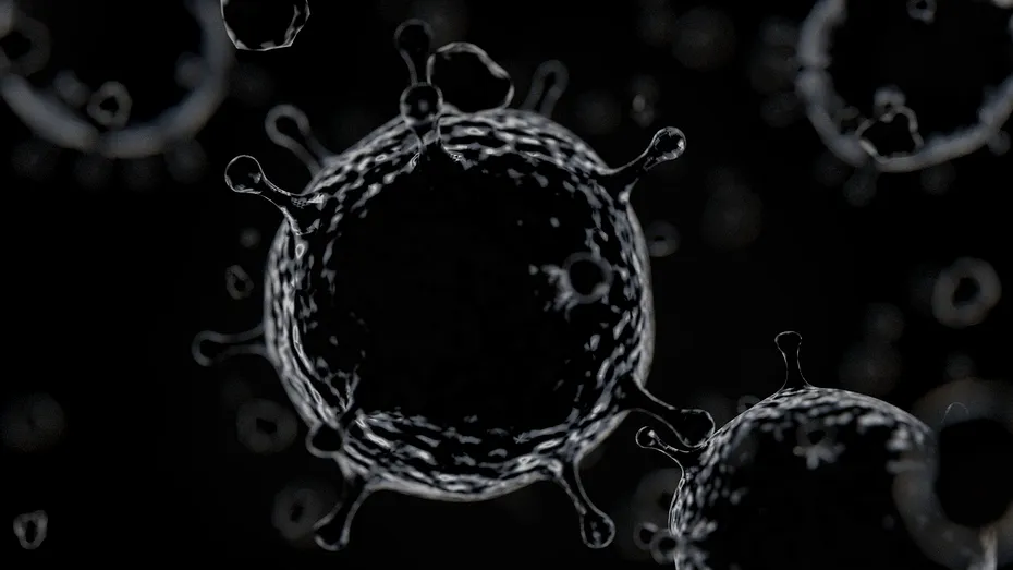 Rabia (Turbarea): simptome, tratament, cauze si diagnostic