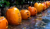Halloween: de unde vine sărbătoarea și cum au apărut tradițiile pe care le iubim astăzi