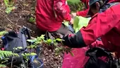 Băiețelul de 5 ani din Sibiu, dispărut de două zile, a fost găsit în viață: „L-am luat și l-am scos într-o lizieră”