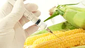 Isteria OMG-urilor – avem motive să ne temem de organismele modificate genetic?