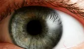 Astenopia „de calculator” – boala celor care stau non-stop cu ochii in monitor