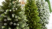 Bradul de Crăciun - natural sau artificial? Ce avantaje şi dezavantaje are fiecare