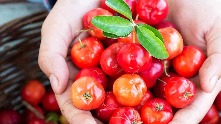 Consumați acest fruct zilnic! Are de 40 de ori mai multă vitamina C decât portocalele