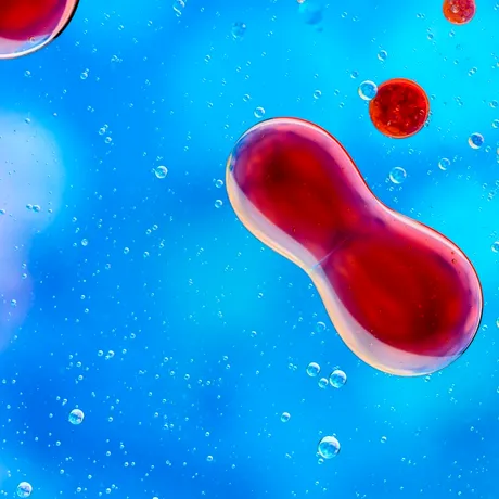 Poate muzica să lupte împotriva cancerului? Cercetătorii brazilieni testează efectele surprinzătoare ale sunetului asupra celulelor canceroase