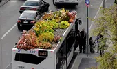 Cum scăpăm de poluarea din marile oraşe? Spaniolii au găsit soluţia: autobuzul-grădină!