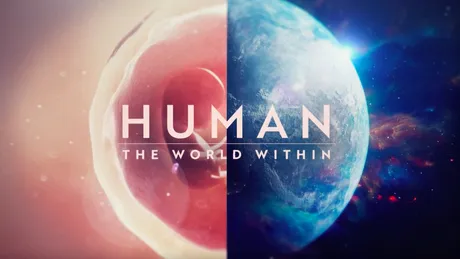 ”Human: The World Within” (NETFLIX), documentarul despre această mașinărie uimitoare care este omul