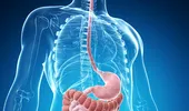 Sistemul digestiv: cum funcţionează şi care sunt bolile frecvente
