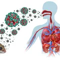 Alertă sanitară hantavirus după decesele de pe vasul de croazieră! Numărul pacienților a crescut. Simptomele cheie și perioada de incubație, conform OMS