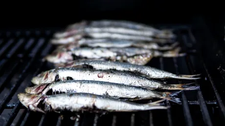 Tipuri de pește pe care să le consumi