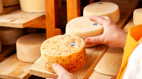 Cașcaval de post. Cum să faci acasă cașcaval din năut