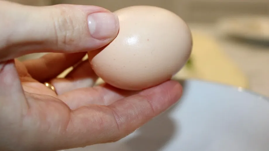 Cum să verifici ouăle dacă sunt proaspete! Trucuri rapide pentru siguranța alimentară în bucătărie