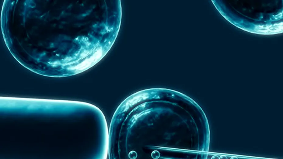 Celulele stem – miracolul vieţii! Vezi ce boli pot fi tratate cu celule stem