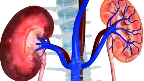 Hidronefroza congenitală: simptome, tratament