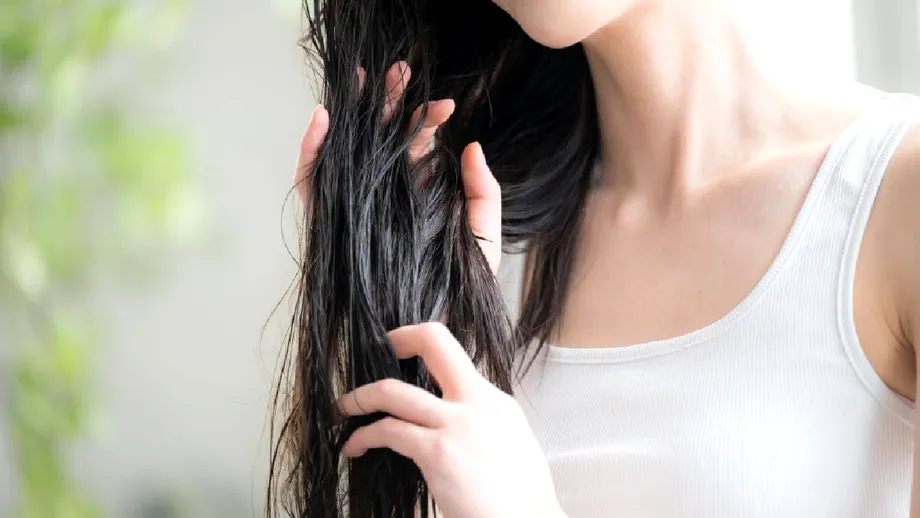 Leave-in conditioner, hair mask și hair oil: diferențele dintre ele și cum le folosești corect