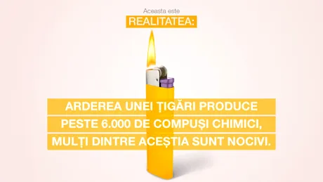 Fumatul la control: ce trebuie să știți despre ardere, fum și gudron