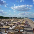 Bacteria Vibrio poate apărea și în Marea Neagră. Când este cel mai mare risc și cine trebuie să fie atent