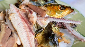 Ți-a rămas un os de pește în gât? Cât este de periculos și ce trebuie să faci imediat