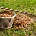 Cum trebuie să ai grijă de grădina ta în octombrie. Ce trebuie să plantezi și când tunzi ultima dată gazonul