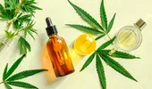 Uleiul CBD, între mit și realitate