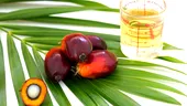 Uleiul de palmier: bun sau rău pentru sănătatea ta?
