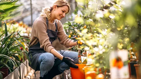 3 metode inedite de a-ți proteja creierul (P)