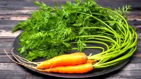 Se pot mânca frunzele de morcovi? Răspunsul nu este cel la care te aștepți