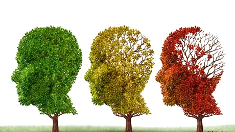 Lipsa acestei vitamine din organism ar putea crește riscul de apariție a demenței