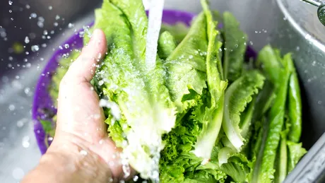 Tipul de salată pe care NU ar trebui să îl speli înainte de consum. Poate crește riscul de contaminare cu bacterii