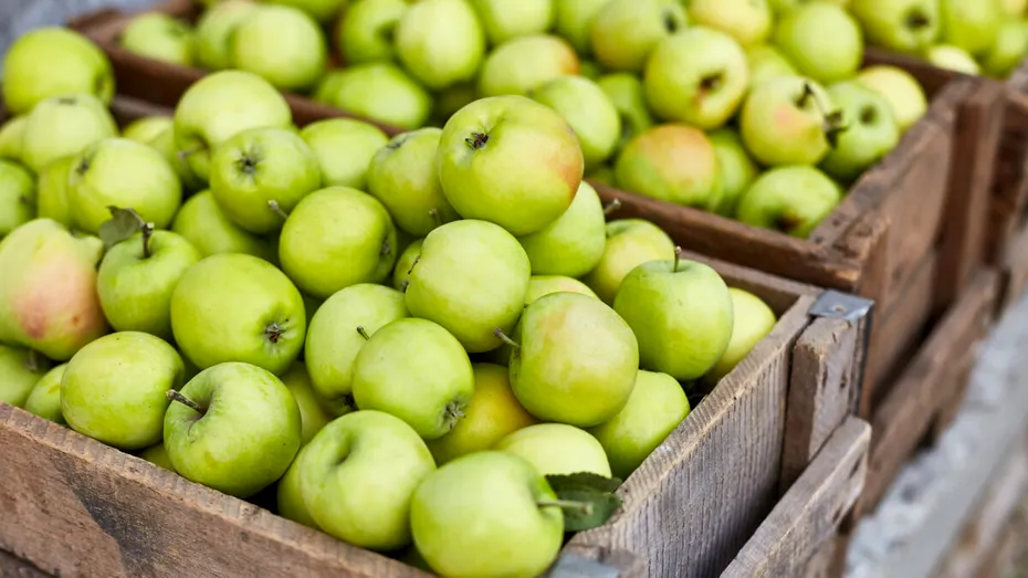 Cum să păstrezi merele proaspete până la 6 săptămâni! Așa vei reduce risipa alimentară