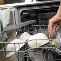 Cum pot ajunge șoarecii în locuință prin mașina de spălat vase? Măsurile prin care poți preveni aceste situații
