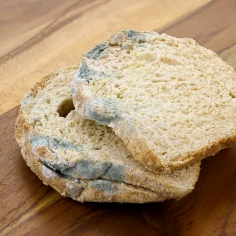 De ce să nu mănânci niciodată partea nemucegăită din pâine