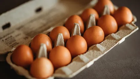 7 alimente care conțin mai multă proteină decât un ou, ideale pentru micul dejun
