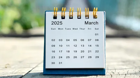 Noi zile libere în plus pentru bugetari. Se va reveni la muncă abia pe 8 ianuarie + ce alte minivacanțe vor avea în 2025