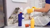Cea mai bună soluție antimucegai pe care o poți face în casă. Conține doar două ingrediente