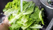 Ce riști dacă nu speli bine frunzele de salată verde. Câte calorii are salata și 5 beneficii pentru sănătate