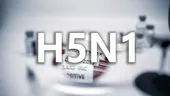 Unde ar fi apărut prima dată virusul de gripă aviară H5N1