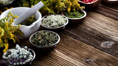 Plantele medicinale: remedii naturale pentru fiecare organ al corpului
