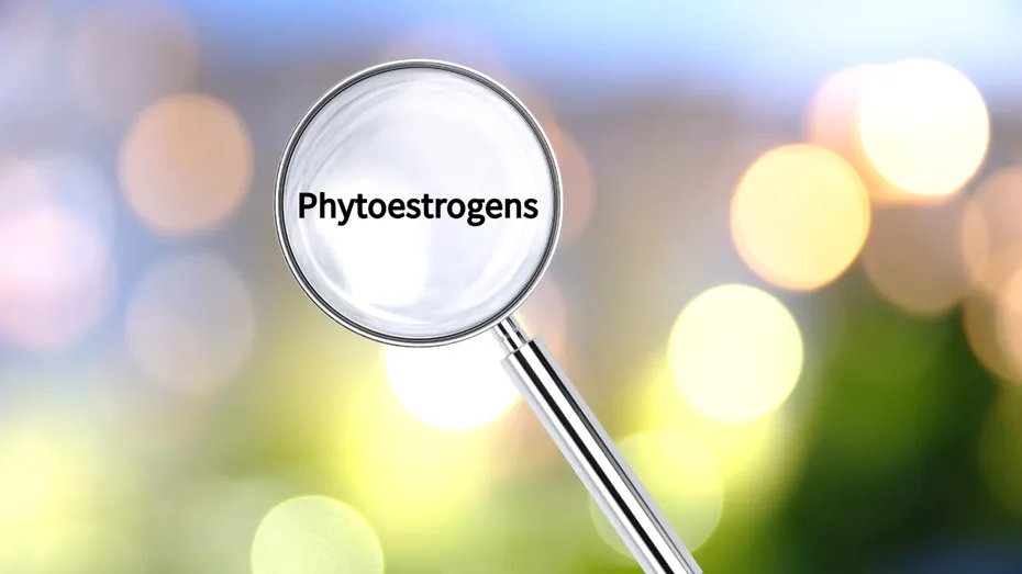 Mitul fitoestrogenilor: Ce trebuie să știe femeile cu endometrioză și adenomioză despre semințele și plantele care „cresc estrogenul”