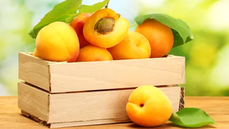 Caisele, fructele ideale în slăbire, cu o mulţime de beneficii pentru adulţi şi copii - VIDEO by CSID