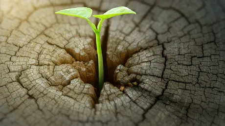 Cum ne poate ajuta filosofia să ne găsim calea când viața este grea