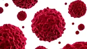 A fost descoperit anticorpul pentru cancer