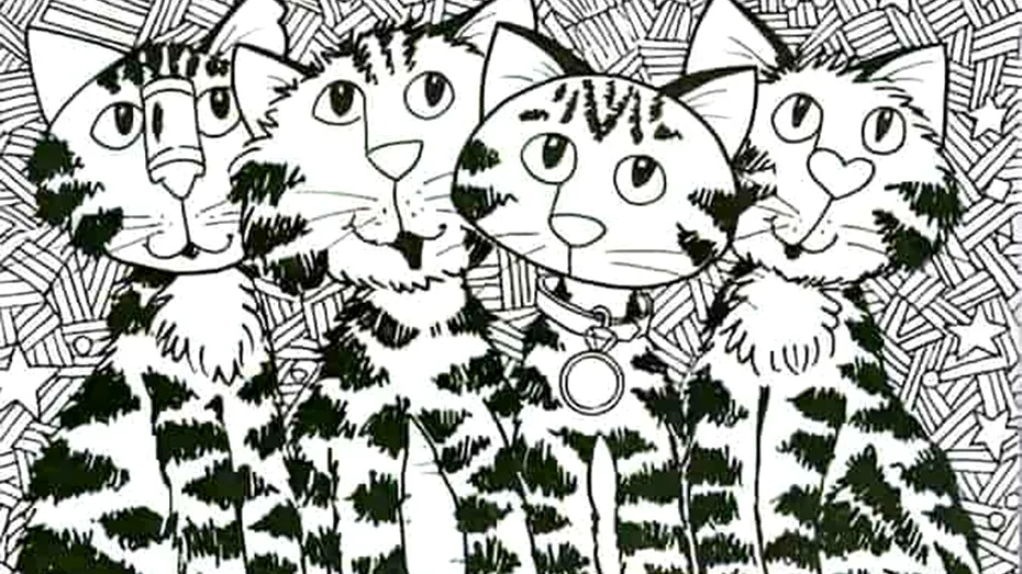 Iluzie optică virală | În această poză sunt 4 pisici, dar și un pește. Găsiți-l în maximum 7 secunde!