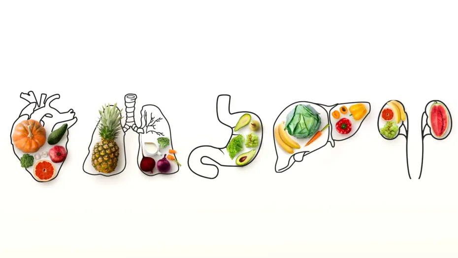 Alimente care „repară” organele din interior – mici alegeri cu efecte mari