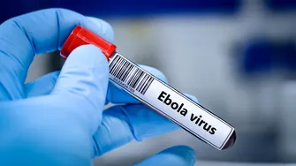Un nou vaccin experimental împotriva Ebola, dezvoltat la Oxford, ar putea intra în teste în următoarele luni