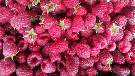 Top 7 alimente uşor alterabile ce pot produce toxiinfecţii alimentare