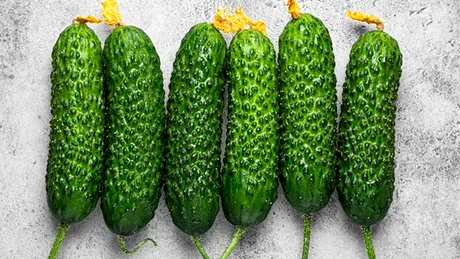 Trucul neașteptat care prelungește viața castraveților în frigider cu până la o săptămână