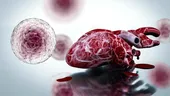 Celulele stem din placentă ajută inima mamei să se recupereze după un atac de cord 